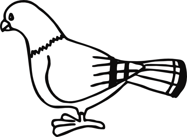 Original Png Clip Art File Pigeon For Coloringbook (600x439), Png Download