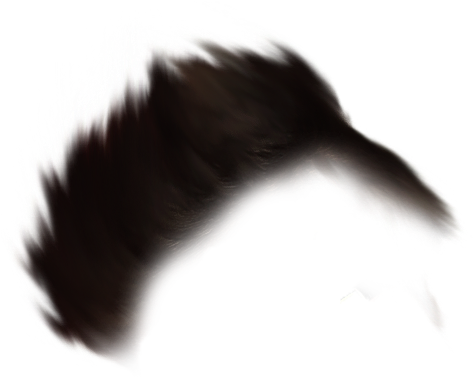 Hair Png - Echidna (758x622), Png Download