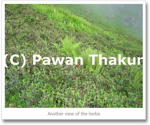 Valley Views On Shrikhand Mahadev Yatra - Shrikhand Mahadev Kailash Yatra (520x434), Png Download