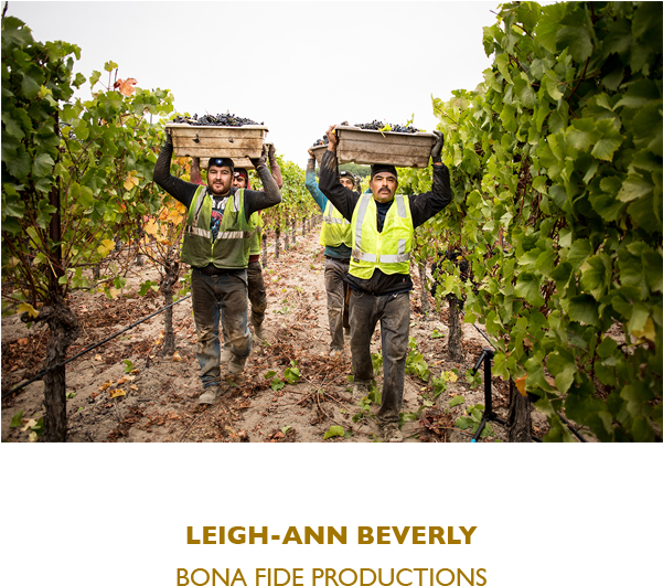 Leigh Ann Beverly - Locus Wine Consulting (600x600), Png Download