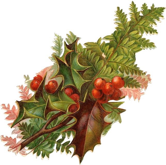 Algunos Adornos Con Muérdago Vintage Para Decorar Y - Limited Edition Festive Cranberry & Orange Triple (650x657), Png Download