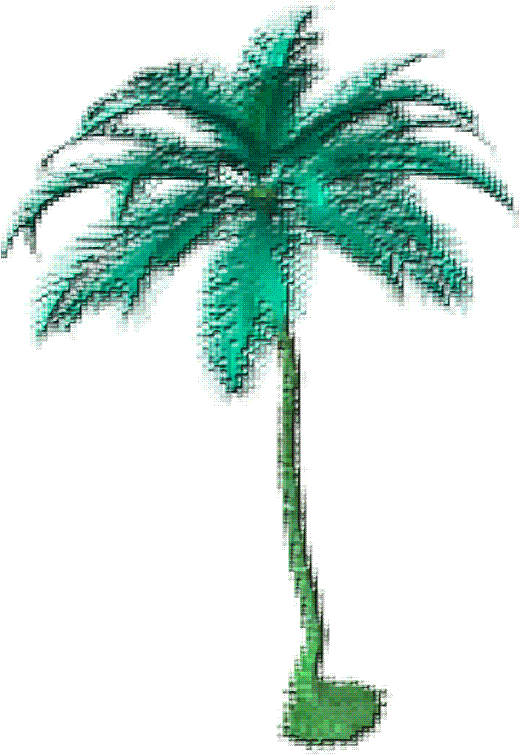 Wowlovelymystuffx Tropical Transparent Sticker Png - Palm Tree Pixel Gif (590x768), Png Download