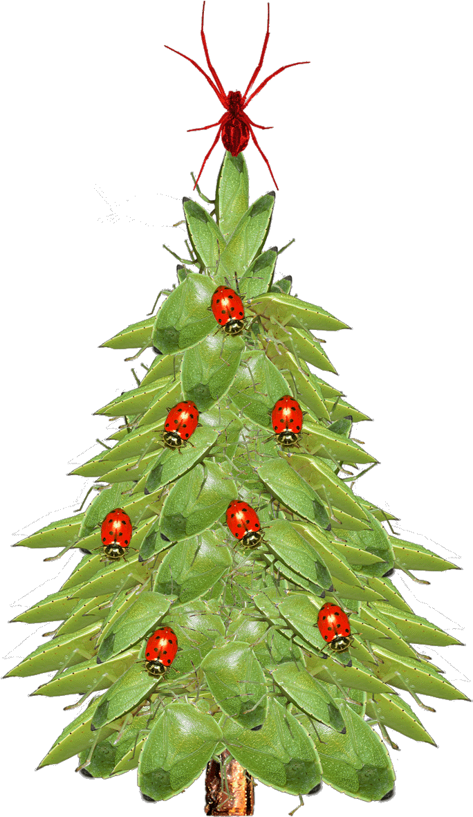 Christmas Tree Closeup - Xmas Tree (720x1245), Png Download