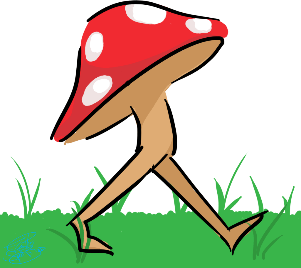 Pepe - Mushroom (1024x1024), Png Download