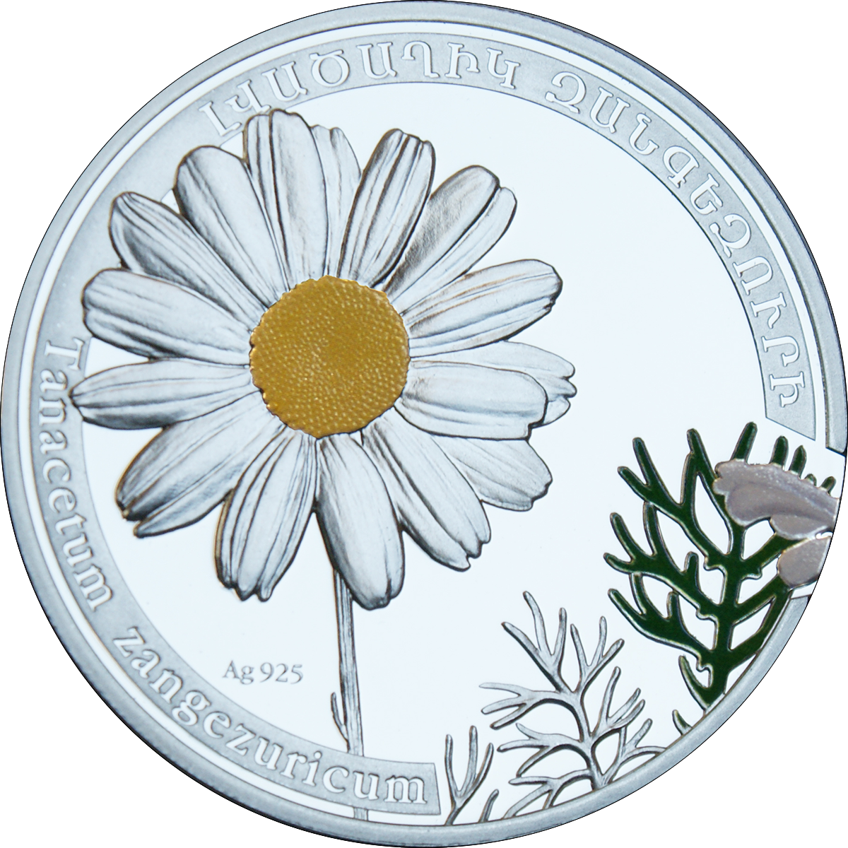 Chamomile Png 13, Buy Clip Art - Armenia 2010 (1200x1200), Png Download