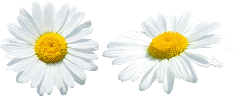 Painting (949x506), Png Download