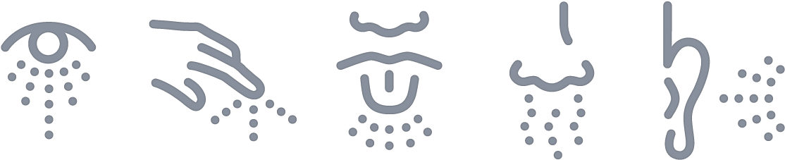 Learning A Language Through Cooking - Senses Png (1250x550), Png Download