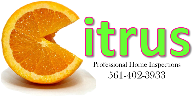 Citrus 1 - Pacman (1000x625), Png Download