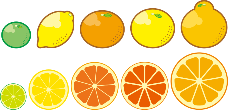 Medium Image - Clipart Citrus Fruits Png (798x385), Png Download