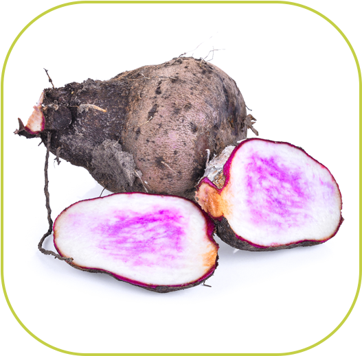 Soothing Herbs Like Olive Leaf Extract, Licorice Root, - Yam (583x583), Png Download