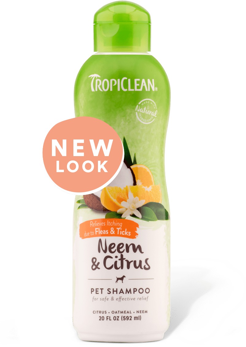 Dog Supplies Tropiclean Shampooneemcitrus - Tropiclean Medicated Oatmeal & Tea Tree Shampoo (800x1200), Png Download
