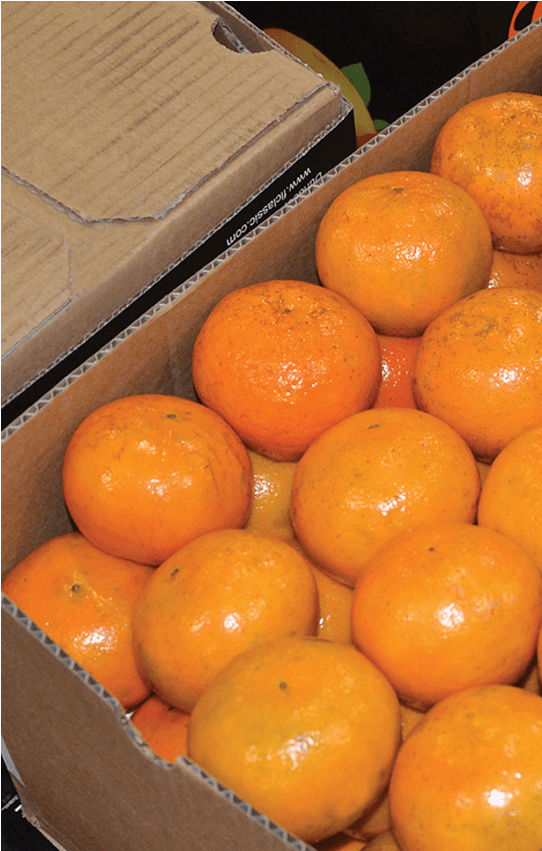 Fresh Blueberries - Tangerine (2200x850), Png Download