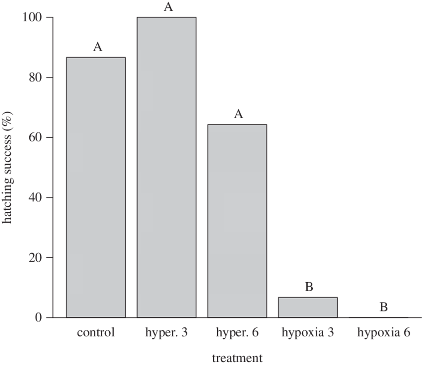 Proportion Of Saltwater Crocodile Eggs To Hatch After - Hypoxia (850x736), Png Download