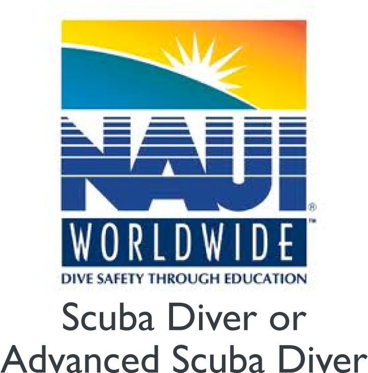 Multi-day Expedition, Visiting Sloth Island For Incredible - Naui Open Water Scuba (blue) Certification Material (793x822), Png Download