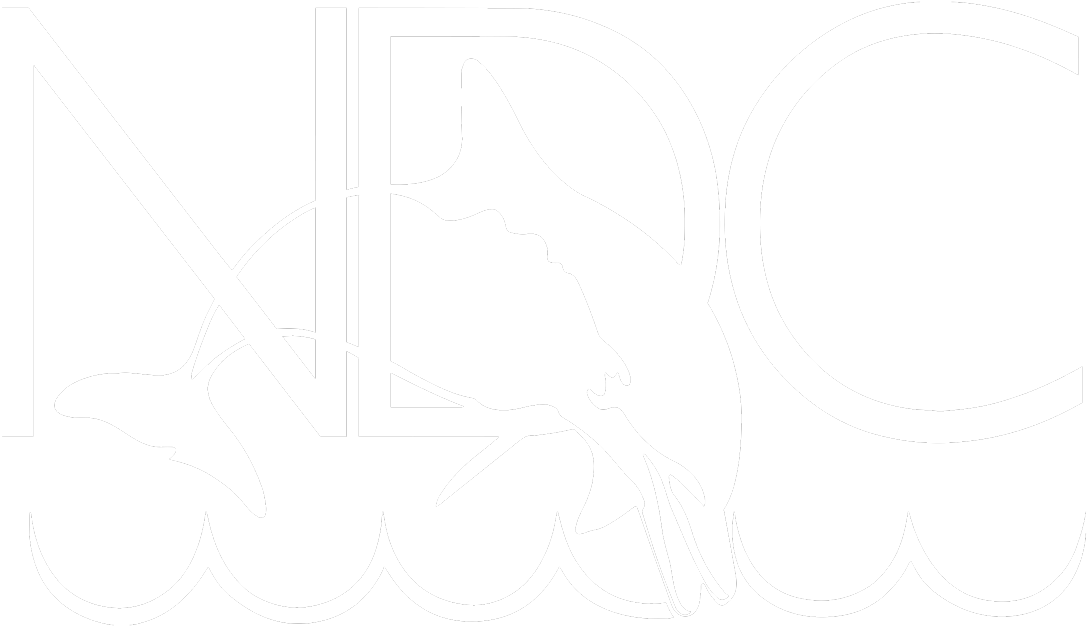 Since - National Diving Center (1200x800), Png Download