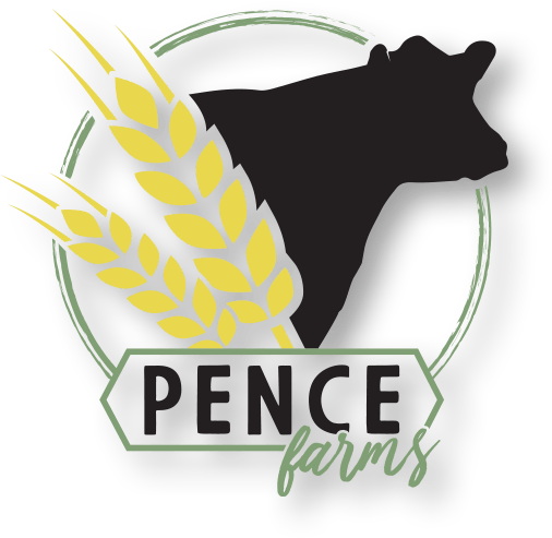 Identity Package Custom Logo Design - Illustration (576x576), Png Download