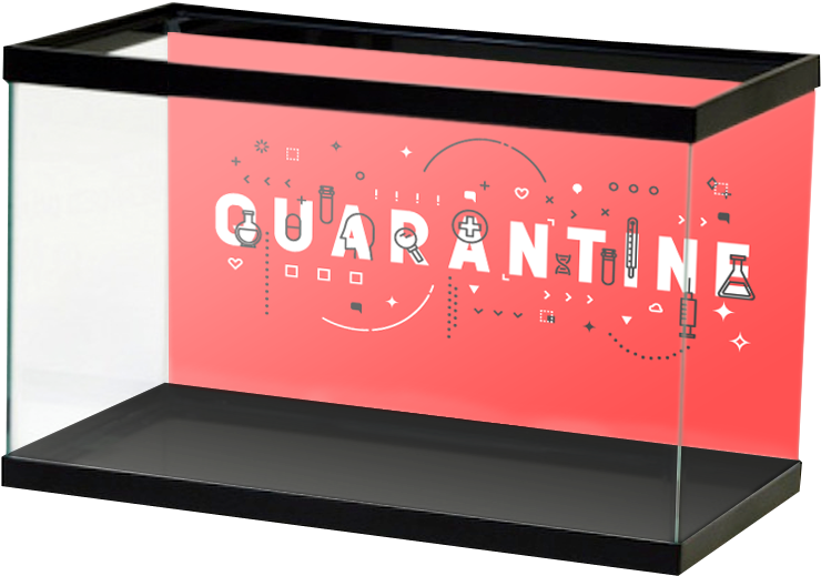 Quarantine (800x800), Png Download