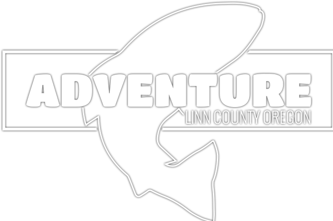 Line Art (678x678), Png Download