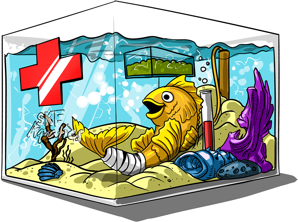 Out Fish Or Any Aquatic Animal Ownership - Fish Quarantine Cartoon (1200x819), Png Download