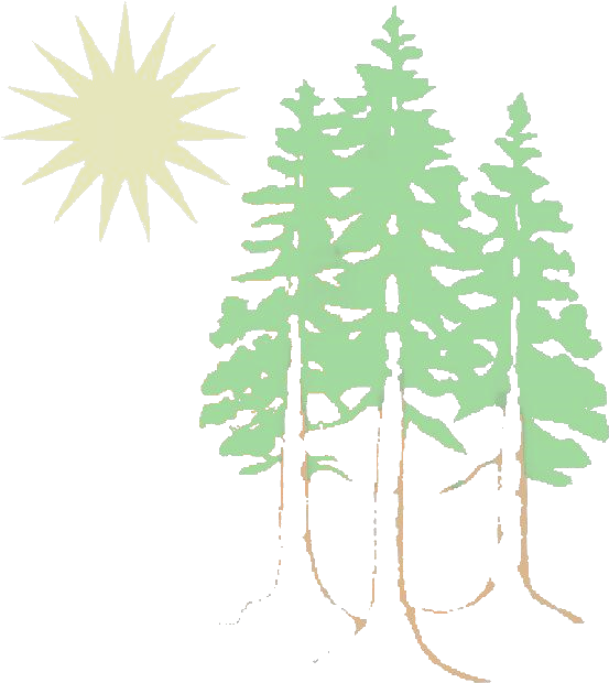 Serving The Northcoast Since 1967 - Western Yellow Pine (566x636), Png Download