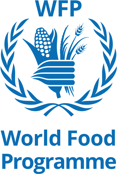Download Wfp Logo World Food Programme Logo Png Image With No