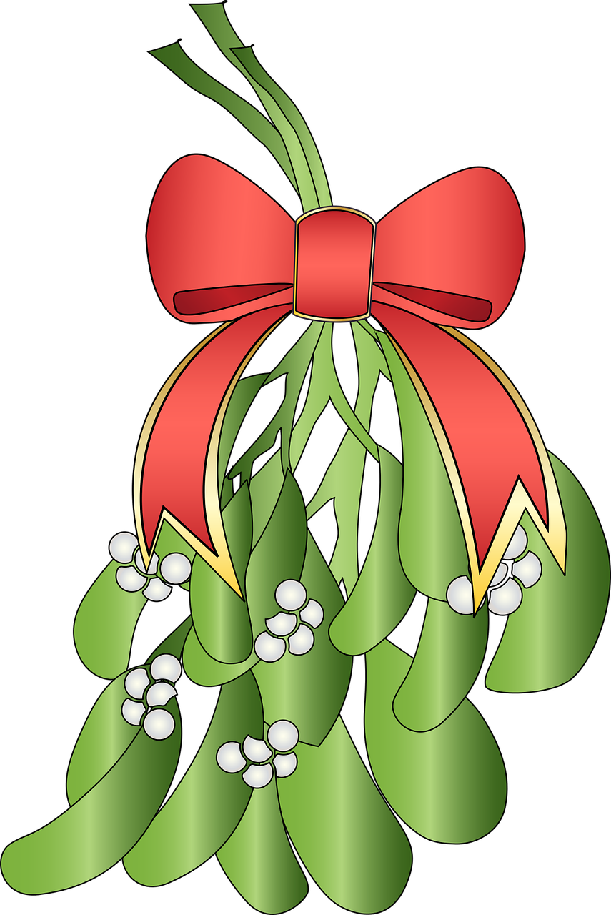 Gift, Christmas Light Bulb, Turkey, Ornament, Poinsettia, - Transparent Png Mistletoe (855x1280), Png Download