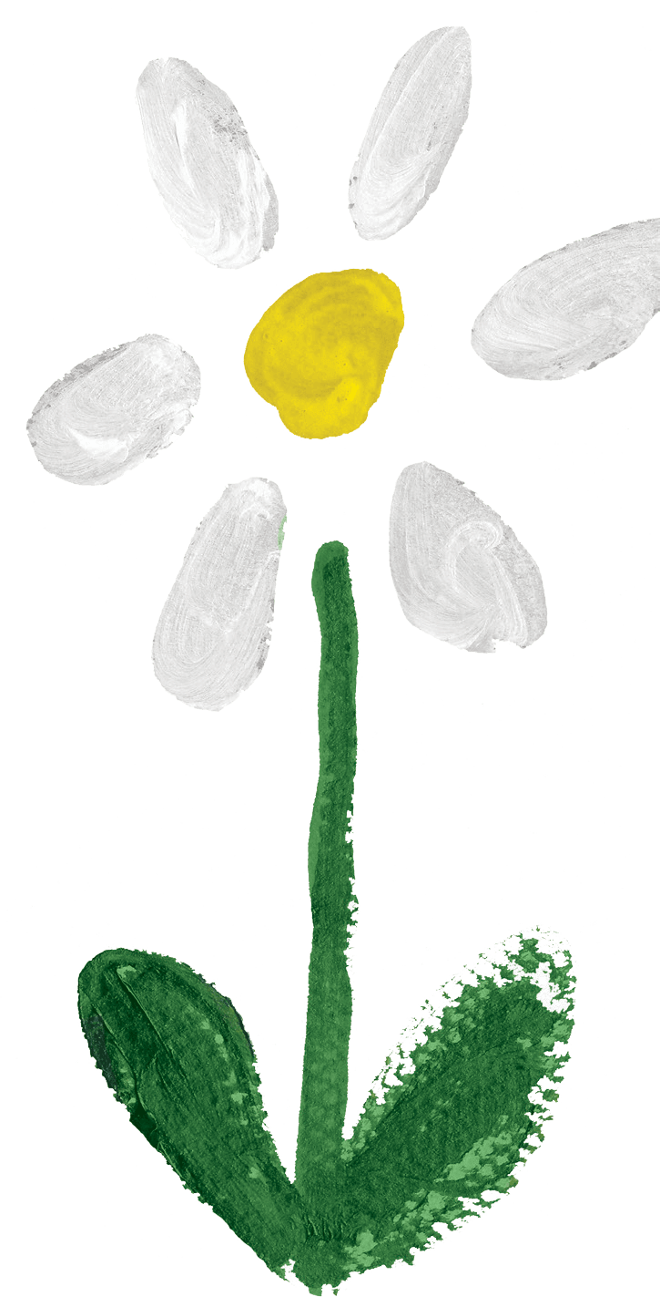 Daisy - Illustration (725x1423), Png Download