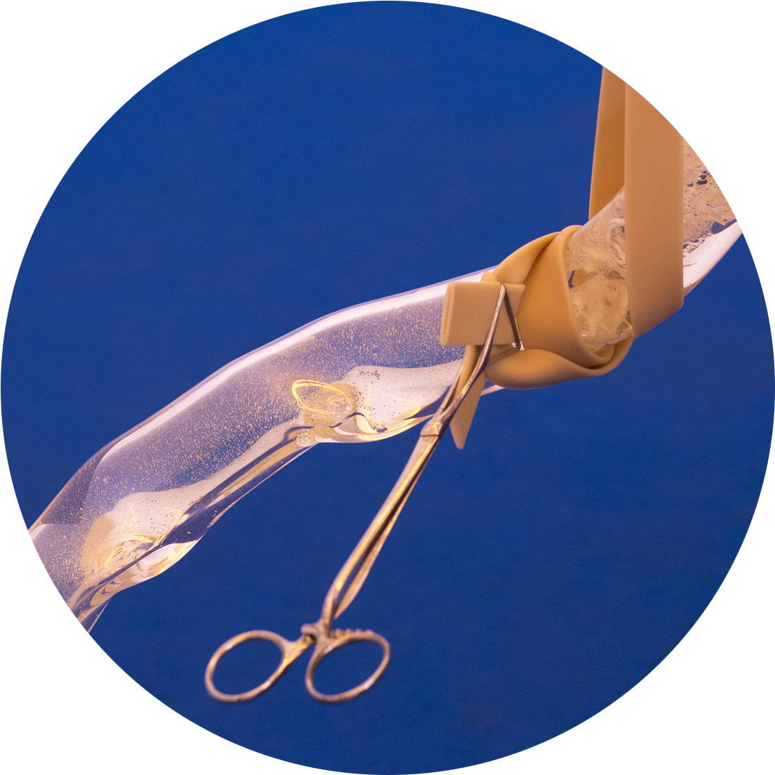 'physical Self' By Laura Gozlan At Galerie Escougnou-cetraro, - Self (1147x1160), Png Download