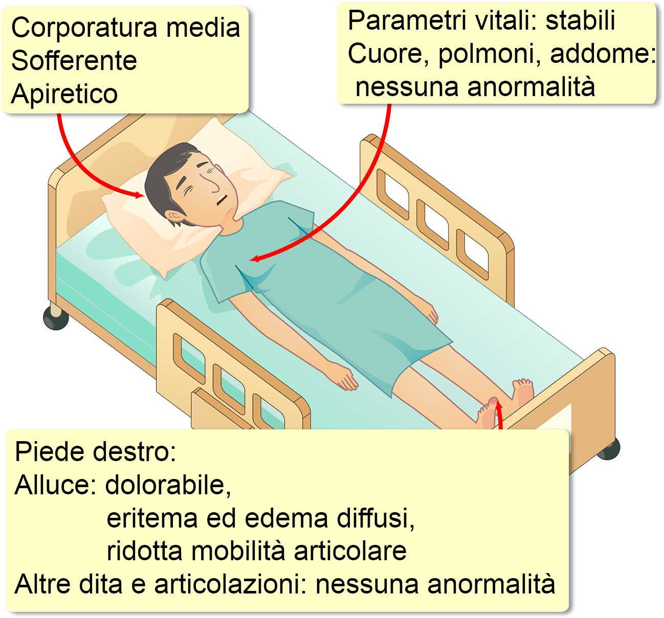 La Sua Storia Clinica Non È Rilevante E Non Assume - Cartoon (1330x1280), Png Download