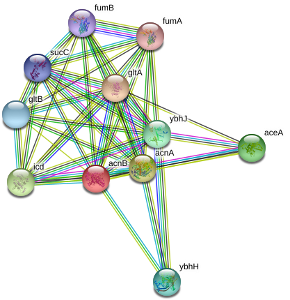 Circle (976x466), Png Download