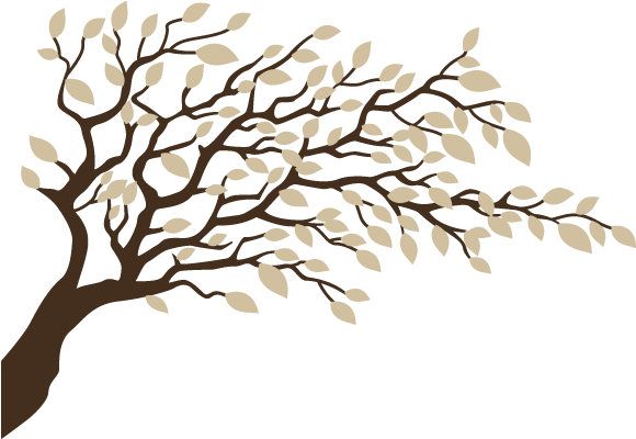 Tree (650x650), Png Download