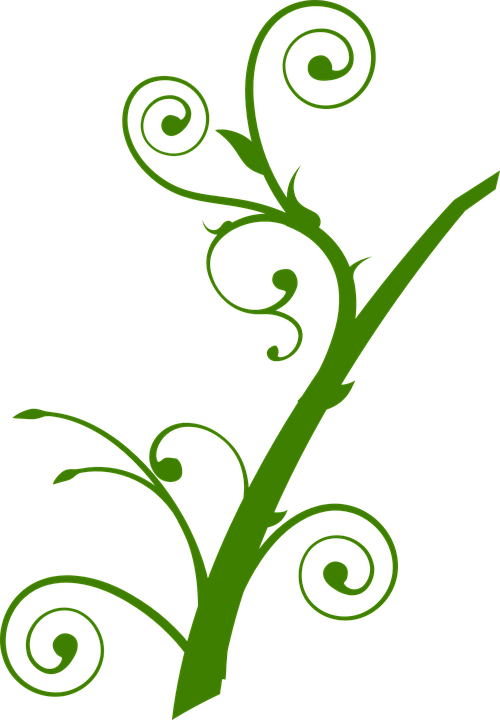 Ramas Verdes Png - Tree Branch Clip Art (500x720), Png Download