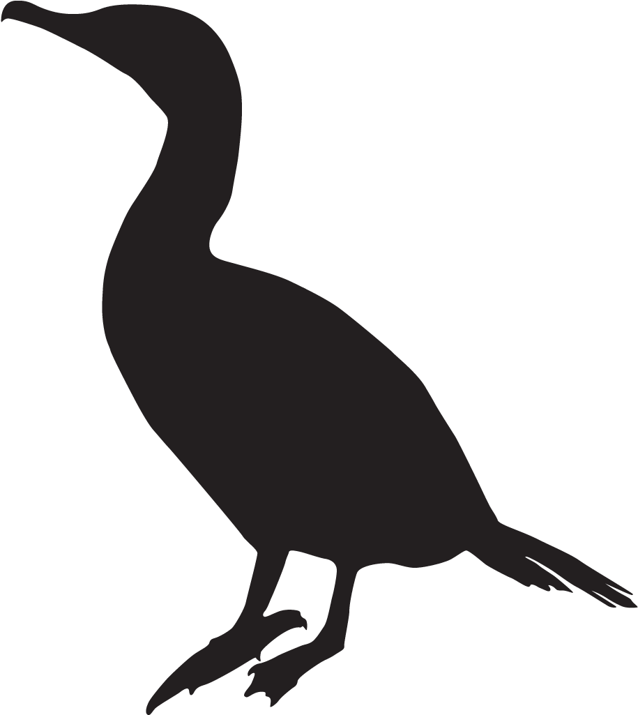 Neotropic Cormorant - Cormorant Silhouette (1024x1024), Png Download