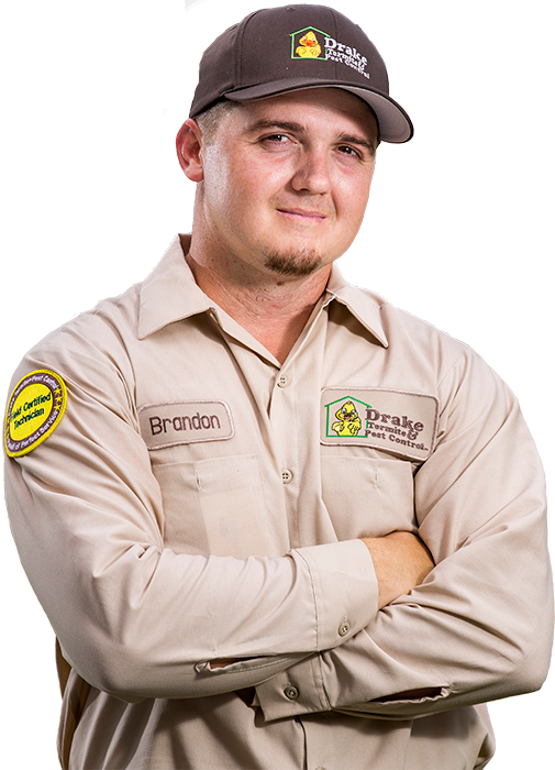 Our Services Have Been Designed And Tested To Deliver - Police Officer (505x700), Png Download