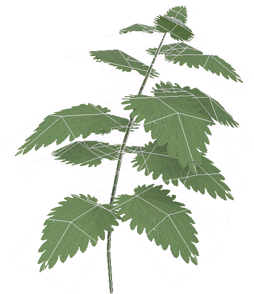 Boiler 01 Wire - Maple Leaf (1024x1024), Png Download