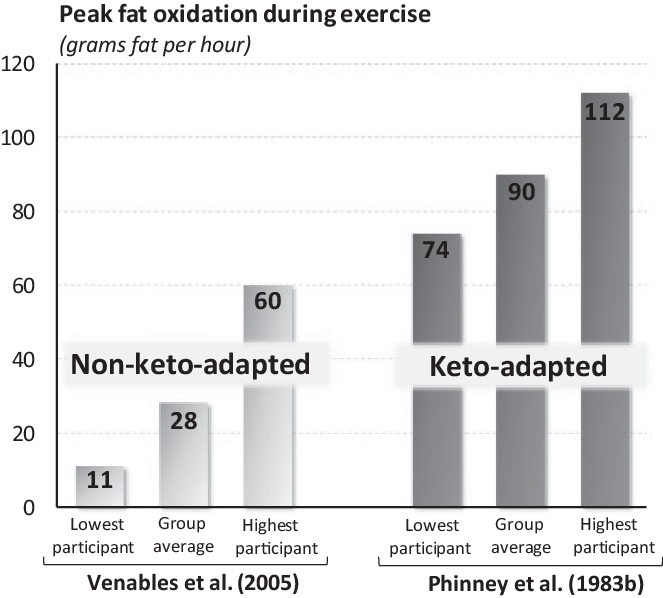 The Rate Of Fat Use During Exercise At 64% Vo 2 Max - Rethinking Fat As A Fuel For Endurance Exercise (663x598), Png Download
