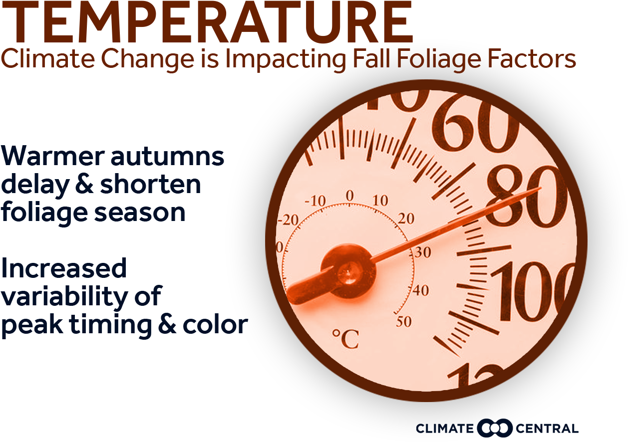 Jpg • Png - Closet (1920x1080), Png Download