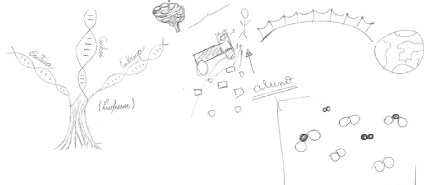 Metáforas Del Profesor Del Grupo De Brasil, Relacionadas - Diagram (850x371), Png Download