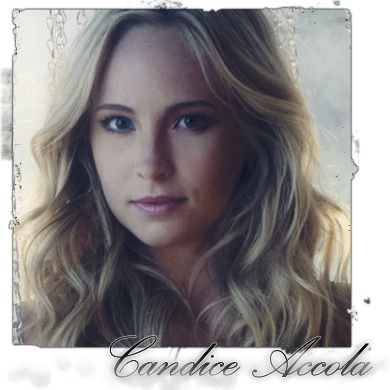 Candice Accola >> Biography - Candice Accola Signed 8x10 Photo Authentic Autograph (800x800), Png Download