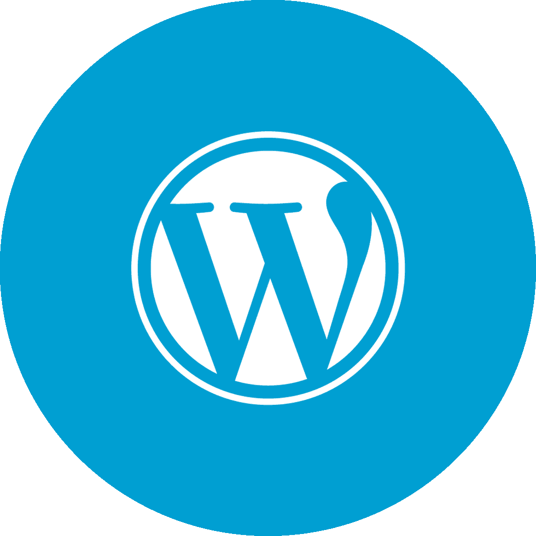 Wordpress Hosting - People Icon Blue Circle (1067x1067), Png Download