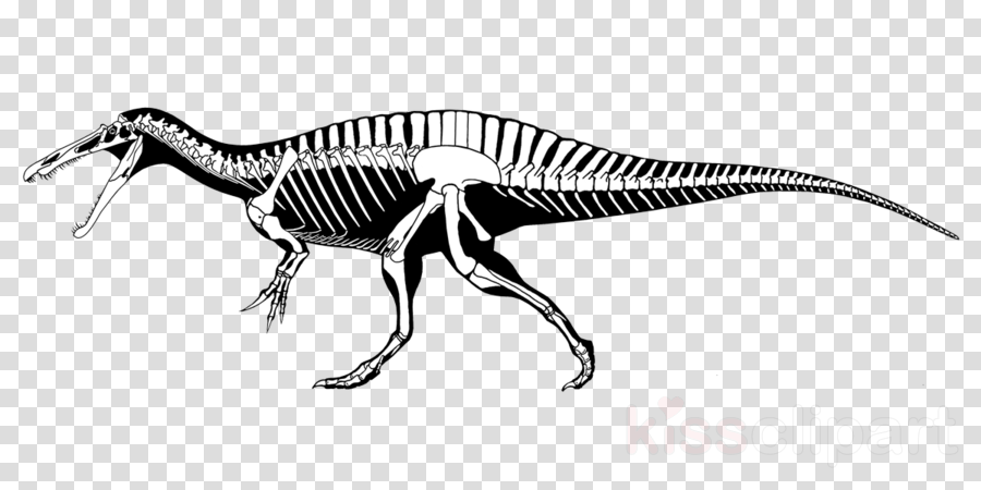 Usa Flag Transparent Background Clipart United States - Ray Bans Png (900x450), Png Download