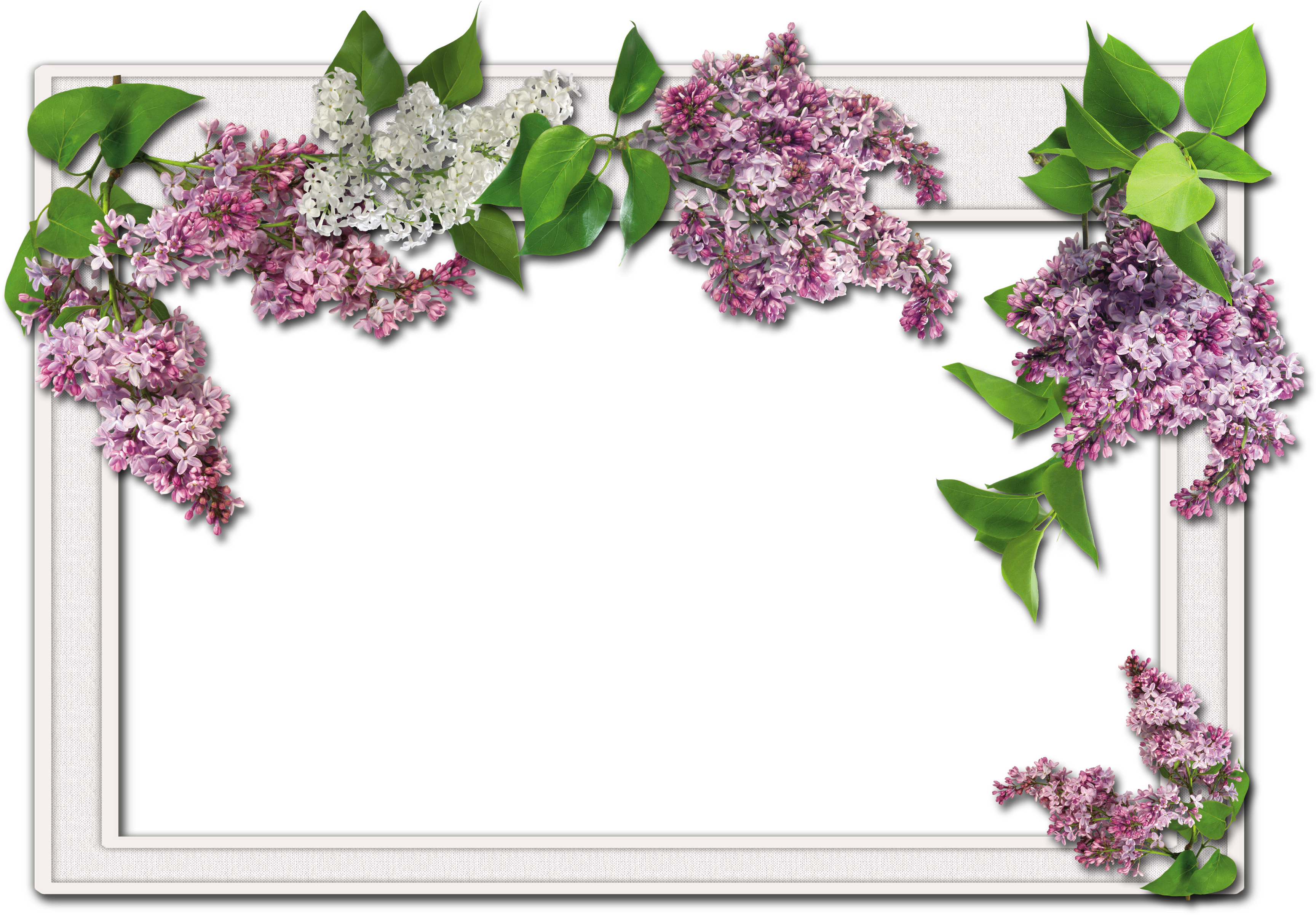 Flower Frames (3510x2480), Png Download