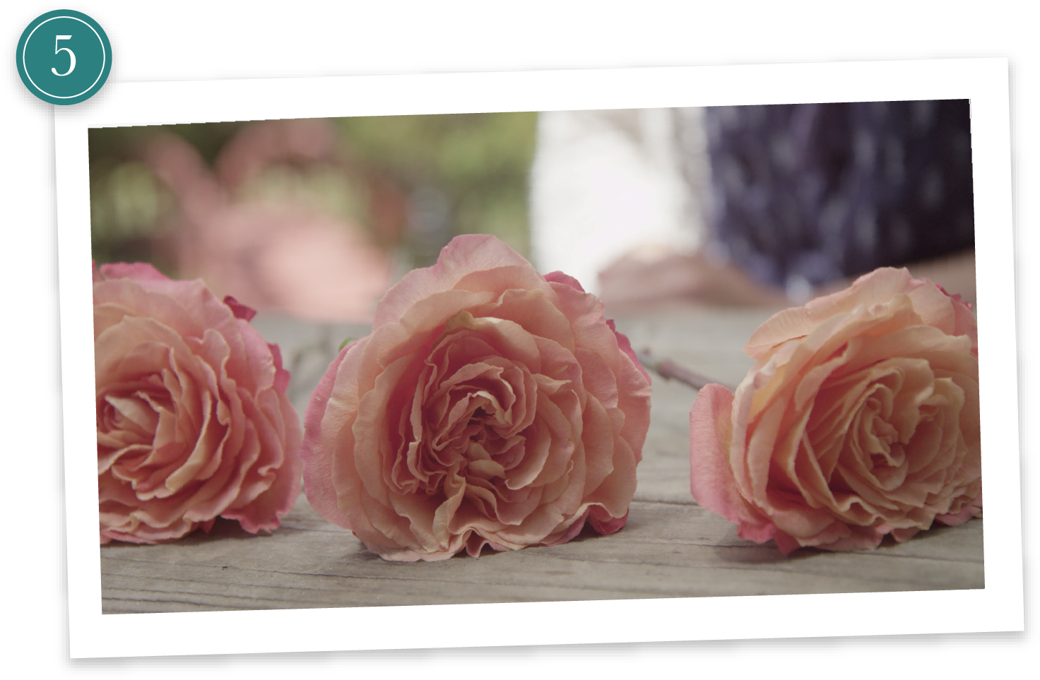 Step - Funeral Flower Preservation (1563x1042), Png Download