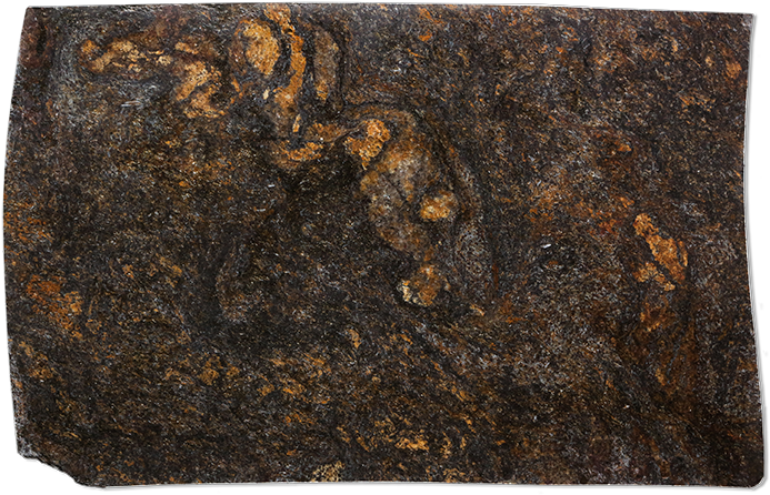 Wood (750x500), Png Download