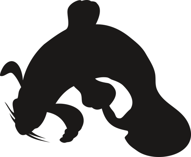 Fish, The Silhouette, Catfish, Vector, No Background - Silhouette (640x526), Png Download