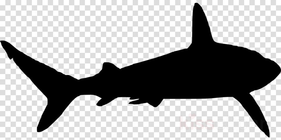 Download Shark Silhouette Png Clipart Shark Clip Art - Black Cowboy Hat Png (900x450), Png Download