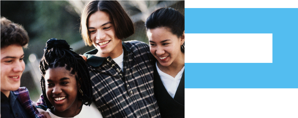 Advocating For Safe, Equitable And Effective Juvenile - Bullying Across In-groups And Out-groups (961x428), Png Download