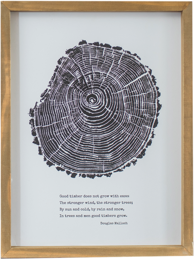 Good Timber - Wall (759x1000), Png Download