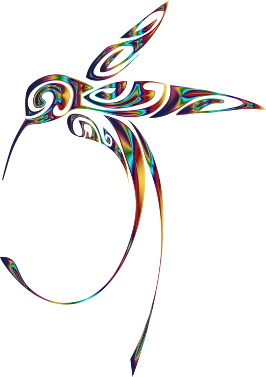 Line Art Hummingbird Drawing - Hummingbird Journal: 160 Page Lined Journal/notebook (529x750), Png Download