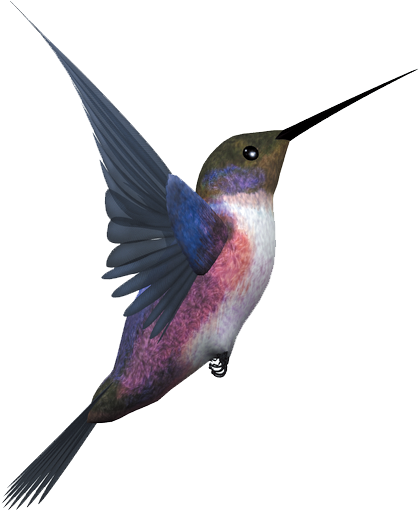 Flying Bird Png Logo (838x635), Png Download